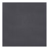 BRITISH GYPSUM BLACK 600 x 600mm Square Edge Ceiling Tiles (Box Qty: 10)
