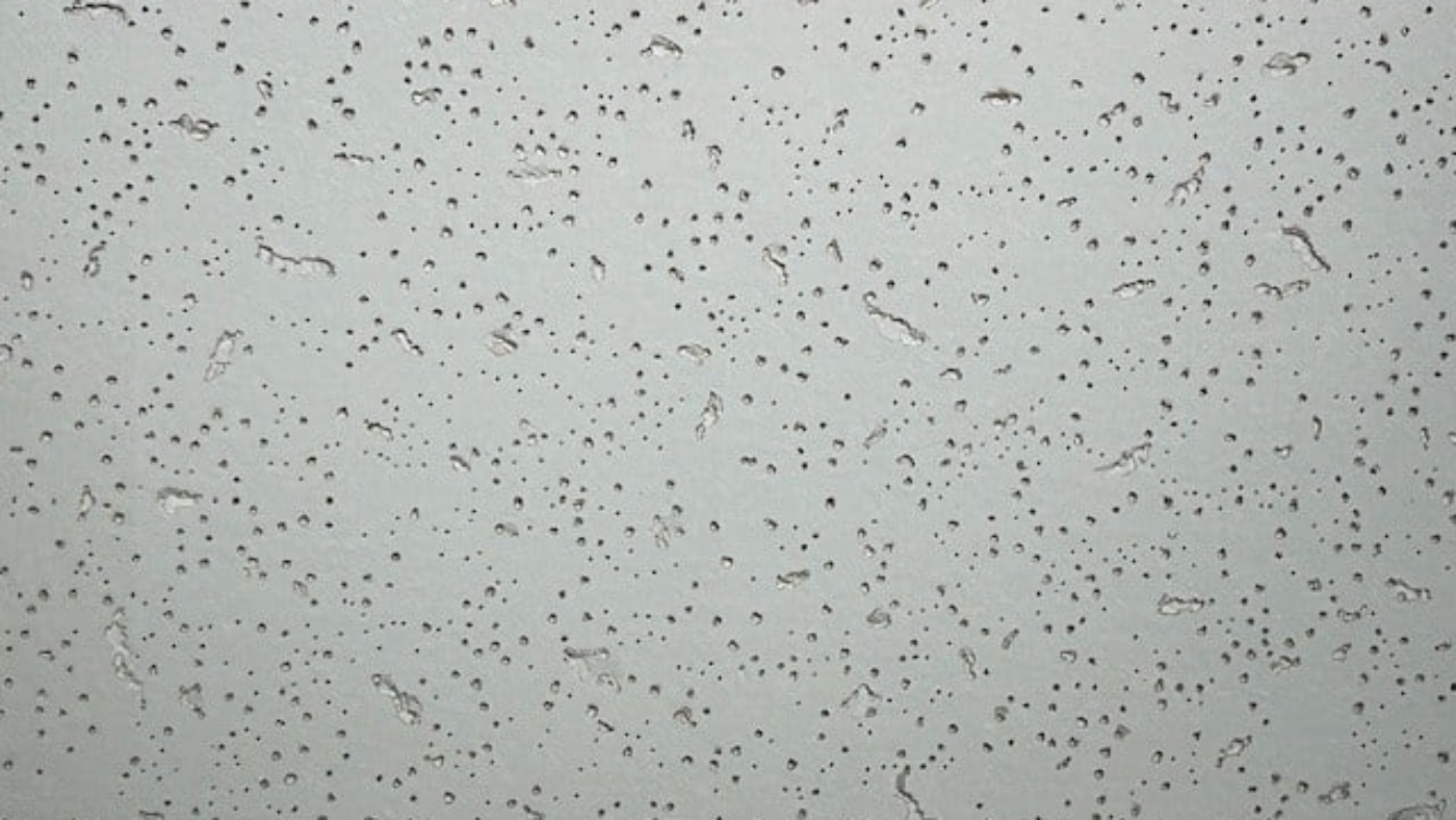 Acoustic Ceiling Tiles